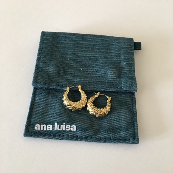 Jewelry - Ana Luisa hoops